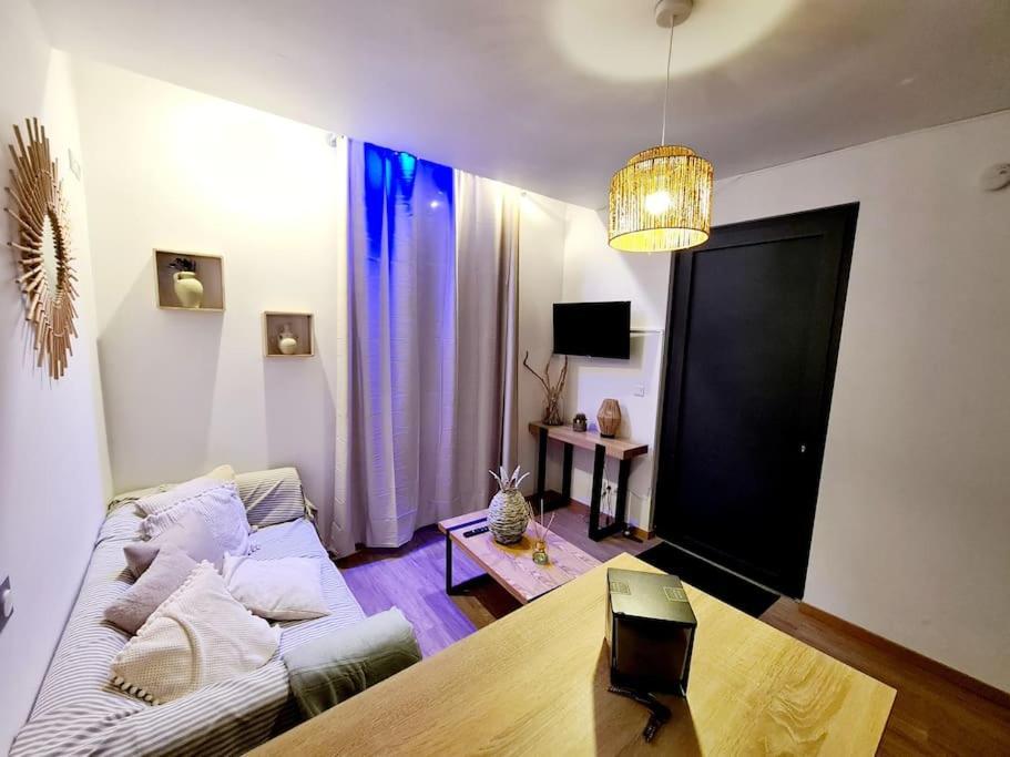 Appartement Cosy Et Calme En Hyper-Centre Tarbes Zewnętrze zdjęcie